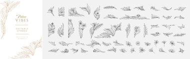 Detaylı çiçek ve botanik dekorasyon malzemeleri seti. Düğün davetiyesi, duvar kâğıdı sanatı ya da tarih kartı için lüks, zarif tasarım unsurları. Düzenlenebilir vuruş vektörü