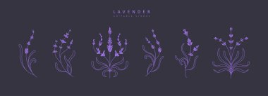 Basit geometrik lavanta dalları ve çiçekler. Dalgalı ve klasik tarzda botanik tasarım elementleri. Logo, sosyal medya veya ambalaj ve tebrik kartı için yapraklar ve şubeler