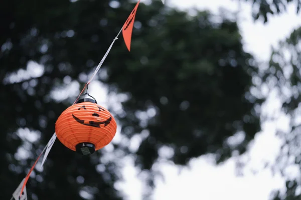 Pendurado Bonito Abóbora Lanternas Uma Árvore Com Bandeiras Guirlandas Celebrar — Fotografia de Stock