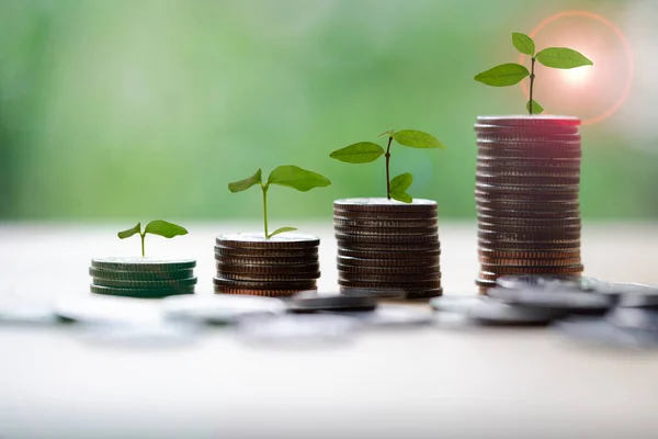 Economize Dinheiro Para Preparar Futuro Árvore Crescendo Moeda Empilhamento Moedas — Fotografia de Stock