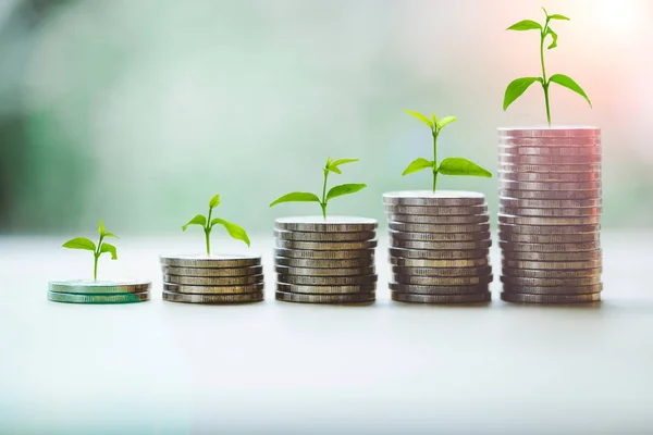 stock image Coin stack growing graph with green plant growing on coins and green bokeh background. Investment and saving money or market growth concept.