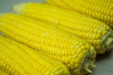 Taze, sarı mısır koçanları. Organik gıda, sağlıklı yaşam tarzı..