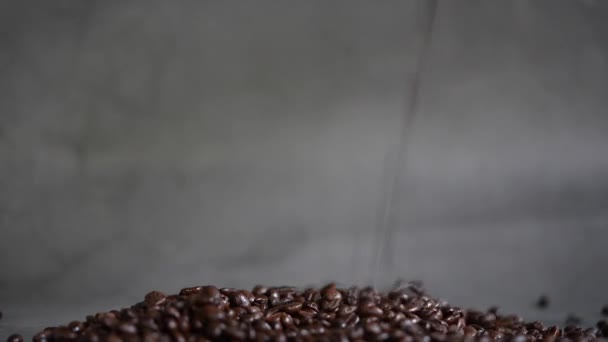Kaffebönor Som Faller Marken Hälla Kaffebönor — Stockvideo