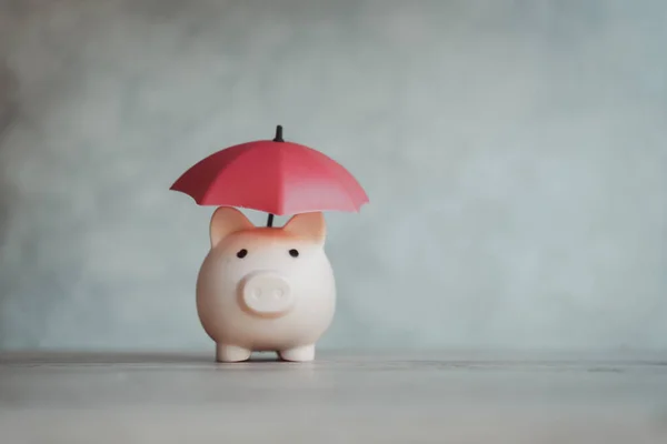 A red umbrella covering a piggy bank. Money protection and safety concept