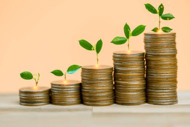 Step of coins stacks with tree growing on top, money, saving and investment or future financial planning, concept for business, growth and money. Saving and investment or family planning