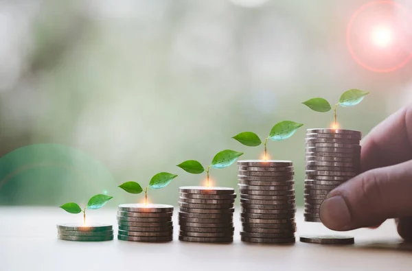 Stacking of money coins with plants growing on top and hand put a one of stack of coins, concept idea investment, funds and step to keep money. Saving and investment or Future financial planning