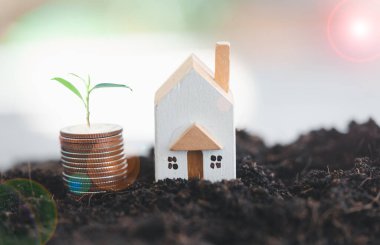 Bitkiler madeni paraların üzerinde büyüyorlar. Toprakta ahşap modeller var. Bitki yetiştirme fikirleri ve çevre dostu yatırımlar. Gayrimenkul yatırımı, emlak vergisi ve emlak piyasası büyümesi
