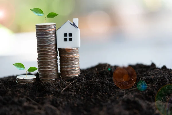 Investment in real estate, land, housing. Investment trends are growing in a good direction. House models, coins, trees growing on the soil with nature background
