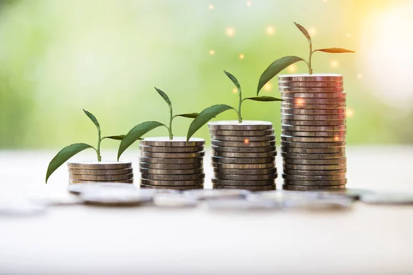 stock image step of coins stacks with tree growing on top, nature background, money, saving and investment or family planning concept. Saving money and financial and business growth concept.