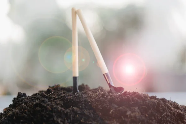 Mini garden shovel and rake on dirt soil for gardening and planting, indoor plants. Home gardening