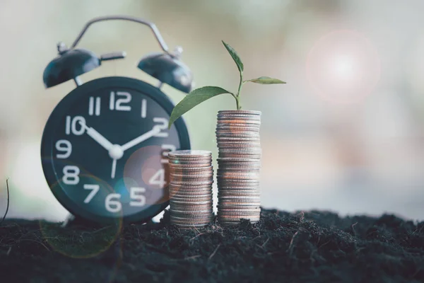 Plants growing up on money growth in soil and black alarm clock and blur nature background. The concept of time to money growth and saving money