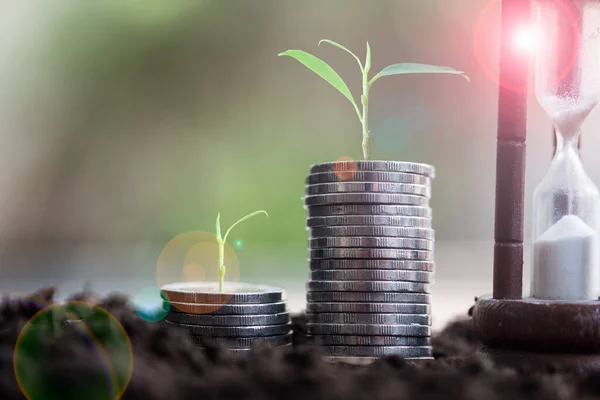 Plants are grown on a pile of coins and sandglass for finance and banking. The idea of saving money and increasing finances. Saving time and money concept