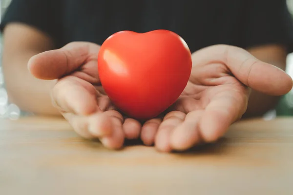 stock image Close up of man cupped hands and showing red heart, relationship, and love concept. Donate, love, and encourage concept