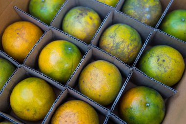 Fresh organic oranges from farm delivered good arranged in brown carton paper packaging box for export