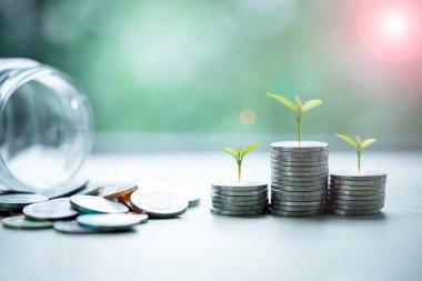 Madeni paradan büyüyen yeşil yapraklı ağaç ve doğal yeşil arka plan bulanıklaşıyor. Finansal fikirler ve büyüyen ekonomik yönelim.