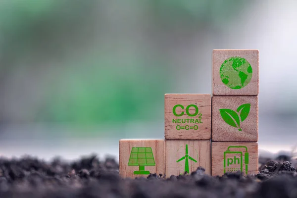 Zöld Üzlet Fenntartható Fejlődés Fakockák Tiszta Energia Ikon Szója Föld — Stock Fotó
