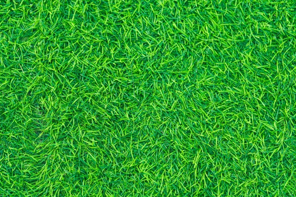 Green grass artificial turf, texture. Top view