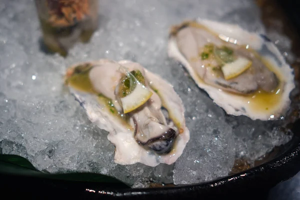 Oysters Lie Ice Fresh Oysters Selective Focus Close — Stock Photo, Image