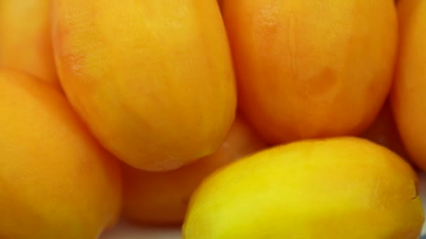 新鮮なマリアンプラムまたはメイヨンチッドフルーツ オーガニックガーデンからの甘い黄色の熱帯フルーツのクローズアップと回転 — ストック動画