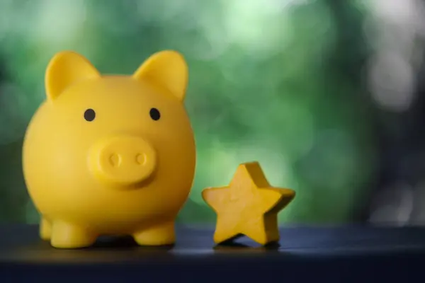 Yellow piggy bank with best stars on nature background. A good way to save money concept.