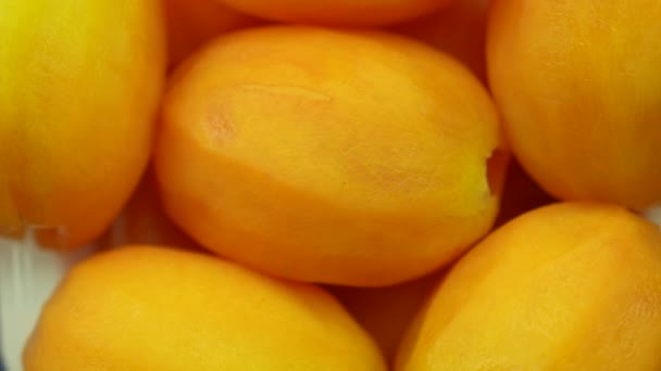 新鮮なマリアンプラムまたはメイヨンチッドフルーツ オーガニックガーデンからの甘い黄色の熱帯フルーツのクローズアップと回転 — ストック動画