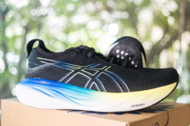 Bangkok, Tayland - 13 Ocak 2024: Kahverengi kutuda Asics markasının koşu ayakkabıları. ASICS Koşu Ayakkabıları 25 genişliğinde Jel Nimbus