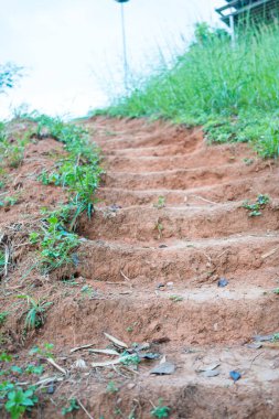 Adımları topraktan yapılmış merdivenler ve etrafında çimen olan kayalar. Toprak merdivenler tepeye çıkıyor. Yürüyüşçülerin tepeye tırmanmasına ve toprak yüzeyini aşınmaya karşı korumasına yardımcı olur..