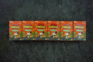 Bangkok, Tayland - 31 Ocak 2024: Bir kutu Snoopy the Best Friends dizisi figürleri. Malzeme: PVC / ABS, yaklaşık 10 cm boyunda. Tüm sette 9 tane kör kutu var.