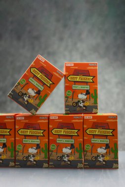 Bangkok, Tayland - 31 Ocak 2024: Bir kutu Snoopy the Best Friends dizisi figürleri. Malzeme: PVC / ABS, yaklaşık 10 cm boyunda. Tüm sette 9 tane kör kutu var.