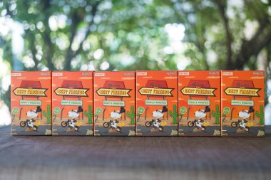 BANGKOK, THAILAND - 5 Şubat 2024: bir kutu Snoopy the Best Friends dizisi figürleri. Malzeme: PVC / ABS, yaklaşık 10 cm boyunda. Tüm sette 9 tane kör kutu var.