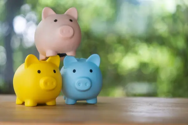 Three piggy bank. Saving money and invest concept. Money saving for family expenses, invest property, investment of business