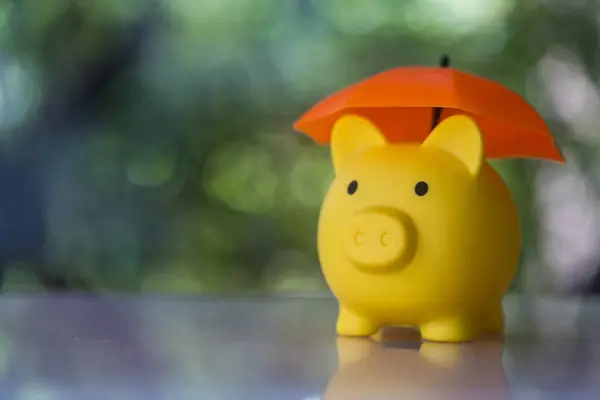 Yellow piggy bank with orange umbrella concept for finance insurance, protection, safe investment or banking. Financial insurance and protection