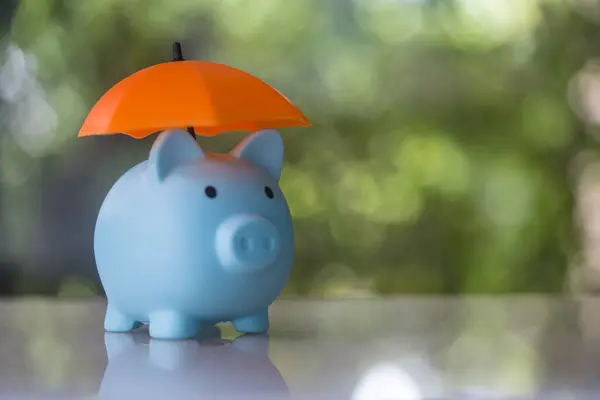 Piggy bank put on wood table with umbrella. The  concept for finance insurance, protection and safe investment or banking