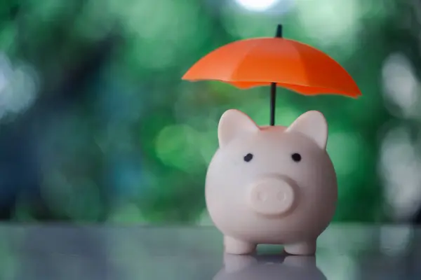 Piggy Bank Put Wood Table Umbrella Protection Nature Background Concept — Stock Photo, Image