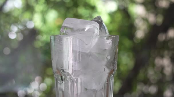 Ein Glasbecher Mit Eiswürfeln Drehschuss — Stockvideo