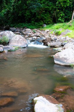 Tayland 'ın Nan ilinde bir ormanda bir dere.