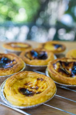 Taze yumurtalı tart parçaları. Kapat.