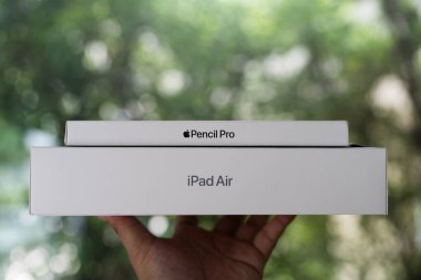 Bangkok, Tayland - 12 Ağustos 2024: Apple iPad Air 2024 ve kalem Pro doğanın arka planına karşı kutuda görüldü