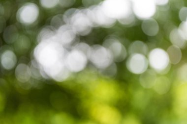 Bokeh soyut yeşil yapraklarla bulanık doğa arkaplanı. Yeşil bulanık arkaplan ve güneş ışığı