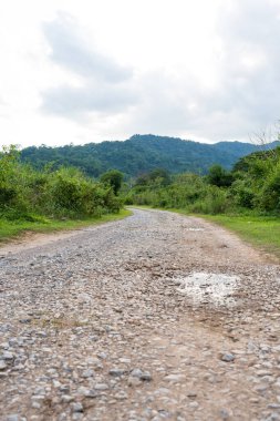 Nakhon Nayok, Tayland 'da kamp yapmak için ormana giden kirli bir yol.
