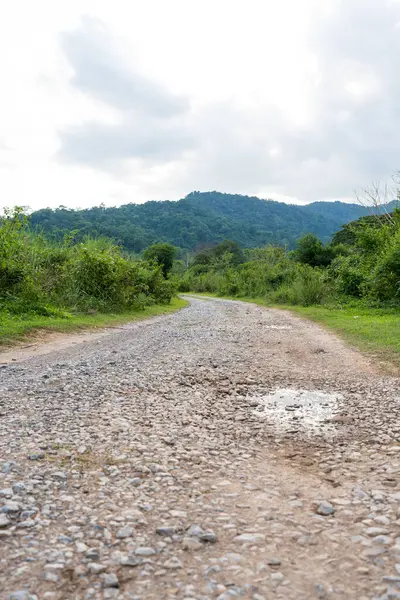 Nakhon Nayok, Tayland 'da kamp yapmak için ormana giden kirli bir yol.
