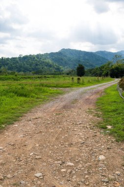 Nakhon Nayok, Tayland 'da kamp yapmak için ormana giden kirli bir yol.