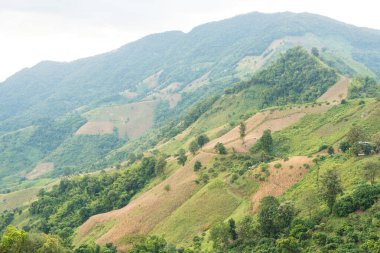 Hava görüntüsü. Yüksek dağ manzarası ve Sakat, Pua Bölgesi, Nan, Tayland kırsalının yemyeşil tarım arazisi
