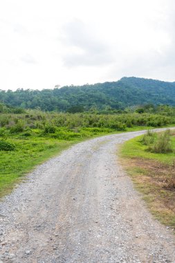 Nakhon Nayok, Tayland 'da kamp yapmak için ormana giden kirli bir yol.