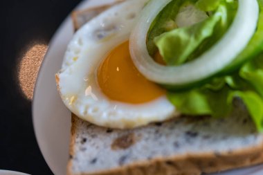 Tam buğday ekmeğine konmuş yumurta sarısı ve taze marul yeşili meşe. Kahvaltı konsepti