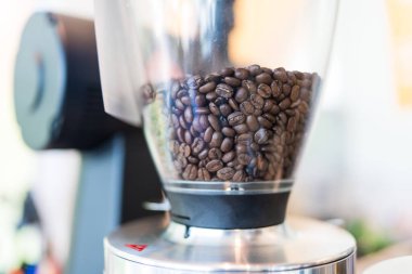 Kahve dükkanında şeffaf öğütücü fincanda kahve çekirdekleri.