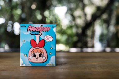 Bangkok, Tayland - 24 Şubat 2025: Pop Mart mağazasından Sulugöz X Powerpuff Girls 'ün bir kutusu.