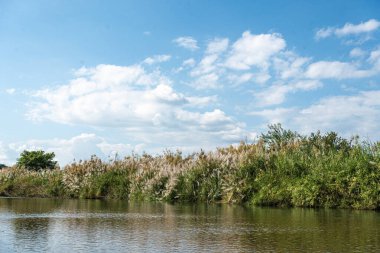 Yeşil orman, nehir ve mavi gökyüzü Tayland manzarası.