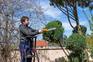 Bahçıvan, profesyonel bahçe aletleriyle merdivenden ağaçlarına iyi bakıyor. Çalı çırpı yapıyorum Niwaki.