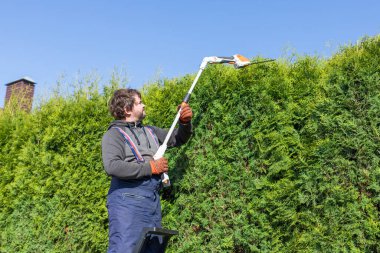 Erkek bahçıvan uzun bir çitin tepesini kesmek için uzun bir çit biçme makinesi kullanıyor. Profesyonel bahçe aletleri olan profesyonel bir bahçıvan. Merdivenin üstünde duruyor..